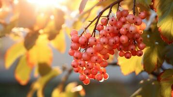 Hej höst guelder reste sig träd. ai genererad bild. foto