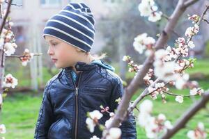 porträtt av en liten pojke bland körsbär blommar i vår. en barn på en promenad döljer Bakom en buske. Dölj och söka i natur. foto