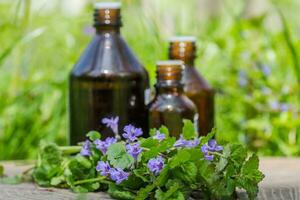 tre farmaceutisk flaska av medicin från glechoma hederacea, nepeta hederacea, markmurgröna, kattfot, fält balsam, och run-away-robin, krypande jenny Nästa till en knippa på grön bakgrund. förberedelse av medicinsk växter. redo trolldryck av gräs. etnoscien foto