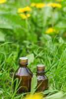 farmaceutisk flaska av medicin i gräs mot bakgrund av blomning gul blomma taraxacum officinale, eller maskrosor . förberedelse av medicinsk växter. redo trolldryck av gräs. foto