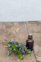 farmaceutisk flaska av medicin från glechoma hederacea, gäl-över-marken, krypande charlie, alehoof, tunhoof, kattfot och krypande jenny Nästa till en knippa av blomstrande på en trä- tabell. foto