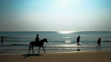 silhuett av turister ridning hästar och simma förbi de hav i de eftermiddag foto