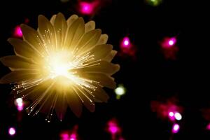 närbild gyllene belysning blommor med ljus lysande upp på färgrik suddig och bokeh på natt tid bakgrund foto