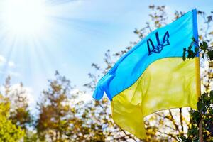 flagga av ukraina mot de himmel och träd. flagga av Land var installerad nära de ukrainska hus. oberoende dag foto