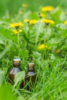 farmaceutisk flaska av medicin i gräs mot bakgrund av blomning gul blomma taraxacum officinale, eller maskrosor . förberedelse av medicinsk växter. redo trolldryck av gräs. foto