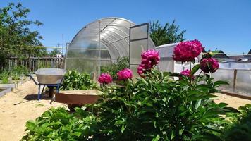 växthus och trädgårdsredskap på sin sommarstuga.