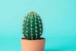 kaktus i minimalistisk pott. bakgrund. ai generativ proffs Foto