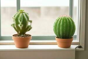 fönster och kaktus växter på suddig bakgrund. ai generativ proffs Foto