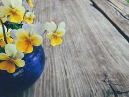gula kyss-mig-snabba blommor i blå keramisk kopp, på träverandabakgrund. stilleben i rustik stil. närbild. sommar eller vår i trädgården, landsbygdens livsstilskoncept. kopiera utrymme foto