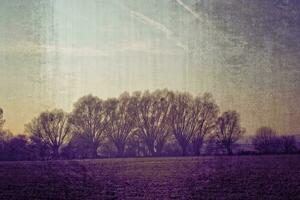höst dimmig landskap med träd och pastell nyanser foto