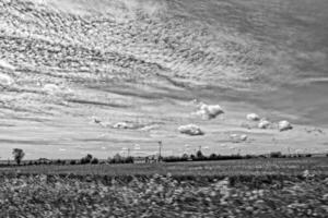 pittoresk vår landskap med blå himmel och grön fält foto