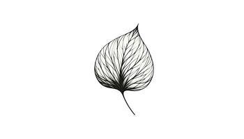 en minimalistisk skiss fångande de väsen av en lövs strukturera. ai genererad foto