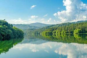 landskap av dammen och sjön på berget med träd och skog. foto