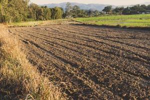 grusjord och torr jord, jorden som förbereder sig för odling. foto
