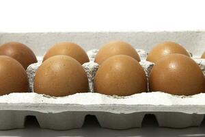 ett ägg kartong behållare, med en dussin brun ägg. isolerat på en vit bakgrund. eco Produkter begrepp. foto