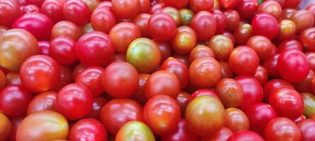 tomater liggande på en lugg på topp av varje Övrig, tomat textur. foto