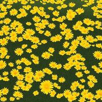 gul daisy blommor bakgrund. blomma tapet bakgrund design. ai genererad bilder foto