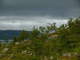 sommar tid i Norge foto