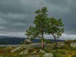 fartyg kryssning i Norge foto