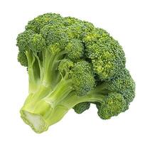 broccoli isolerad på vit bakgrund foto