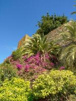 de stad av malaga foto