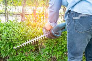 kvinna tar vård och växande växter, hobby plantering Hem trädgård, dekorativ beskärning. foto