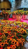 blomsterfestival i girona temps de flors, spanien. 2018 foto