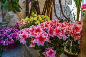 blomsterfestival i girona temps de flors, spanien. 2018 foto