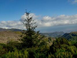 ön madeira i portugal foto