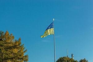 ukrainska flagga mot de blå himmel foto