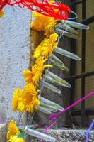 blomsterfestival i girona temps de flors, spanien. 2018 foto