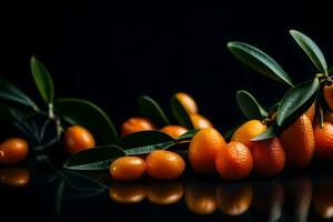 makro fotografi är när vi ta mycket stänga upp bilder av kumquats i en studio med en mörk bakgrund ai genererad foto