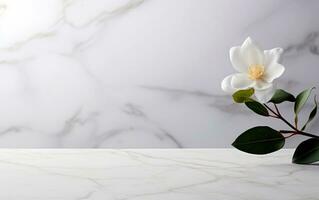 vit marmor bakgrund med lynnig skuggor, vit orkide och Plats för produkt presentation. skede monter för skönhet, spa Produkter och kosmetika. befordran försäljning eller reklam. ai generativ foto