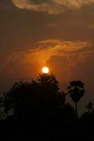 solen går upp och går ner på morgonen-kvällen och träden är skuggade svarta - orange himmel och moln. varm, romantisk och härligt vacker, den ser varm och resande ut. foto