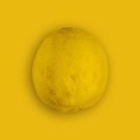 citron- och limeskiva och färsk citrusfrukt på gul bakgrund. foto