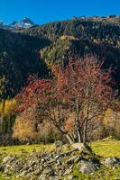 landskap av de franska alps i höst foto