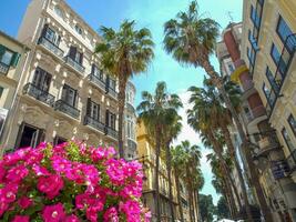 staden malaga i spanien foto