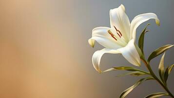 natur blomning blomma bakgrund stänga ai genererad foto