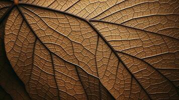 lyx blad textur mönster med rik lövverk mönster, ai generativ foto