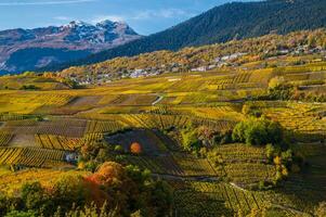 swiss alps landskap i höst foto