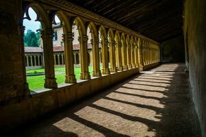 abbeyl av cordoliers, Loire, Frankrike foto