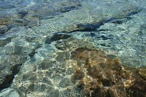 kedrodasos beach creta island blue lagoon kristallvatten och koraller foto