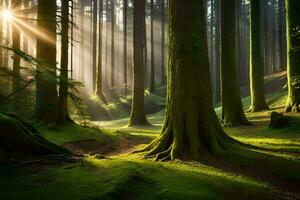 de Sol lyser genom de träd i en skog. ai-genererad foto