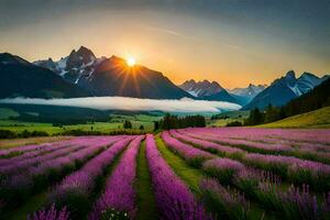 de Sol stiger över lavendel- fält i de berg. ai-genererad foto