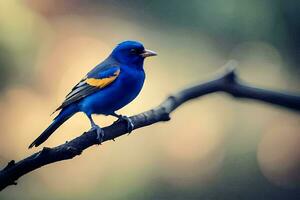 en blå fågel med gul och orange fjädrar sitter på en gren. ai-genererad foto