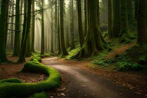 en väg genom en skog med mossiga träd. ai-genererad foto