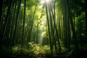 ljus solljus filtrering genom bambu skog ai generativ foto