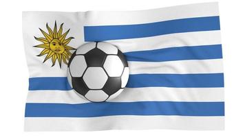 världsflagga med fotboll foto