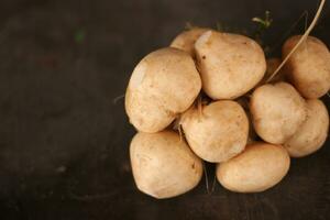 Foto av bengkuan frukt eller pachyrhizus erosus med en mörk bakgrund