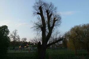 mest skön bild av människor gående och njuter sommar dag på wardown offentlig parkera av luton stad, England förenad rike, Storbritannien. april 27:e, 2023 foto